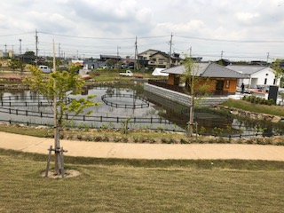 水生花園（碧南）