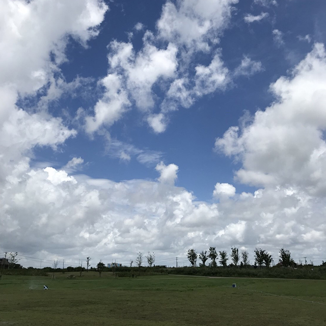 油ヶ淵水辺公園