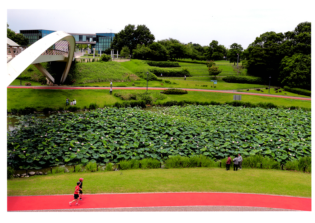 中日写真協会賞 初夏それぞれの朝 あいち健康の森公園