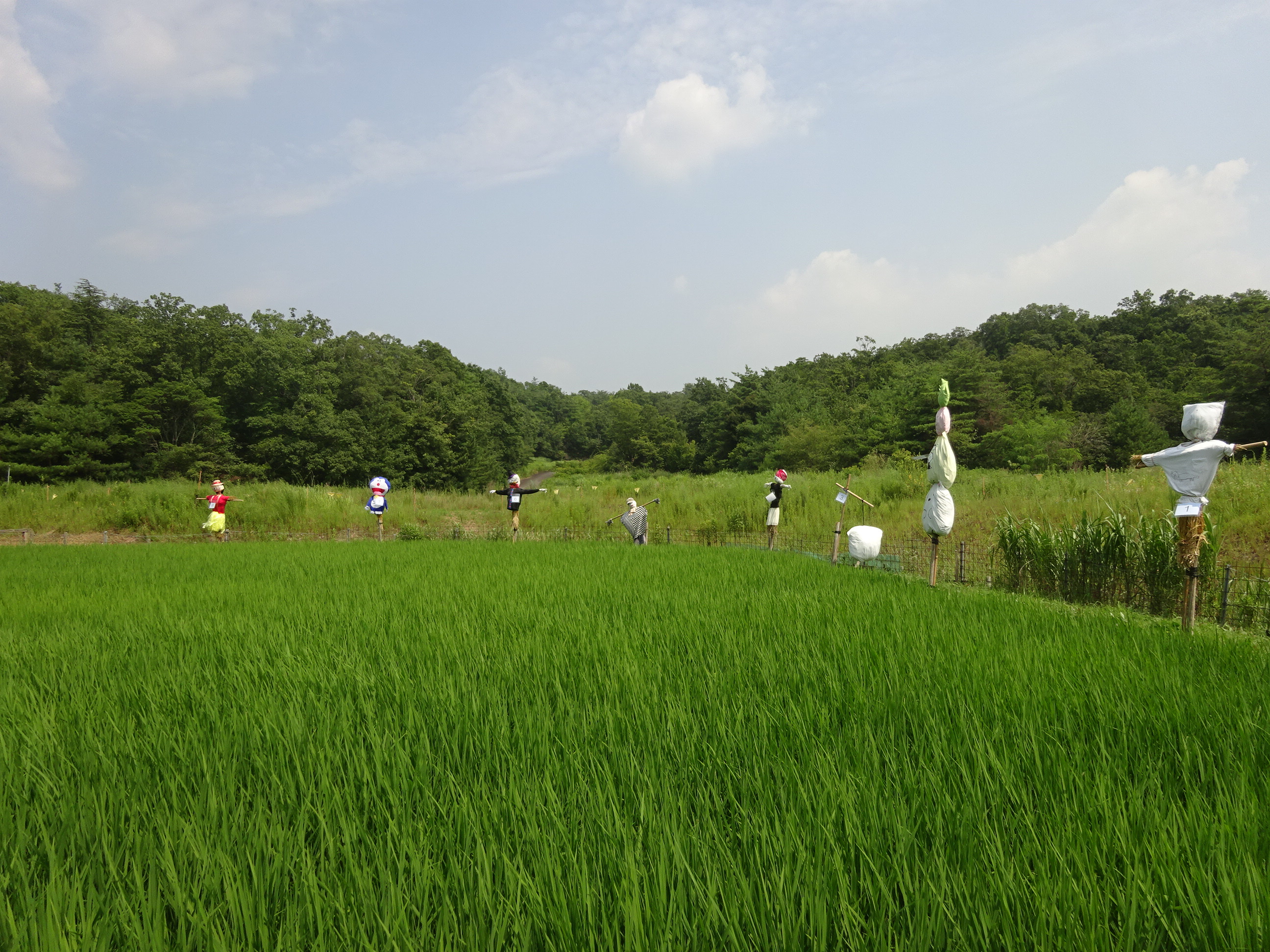 あいちサトラボで かかしコンテスト が行われています