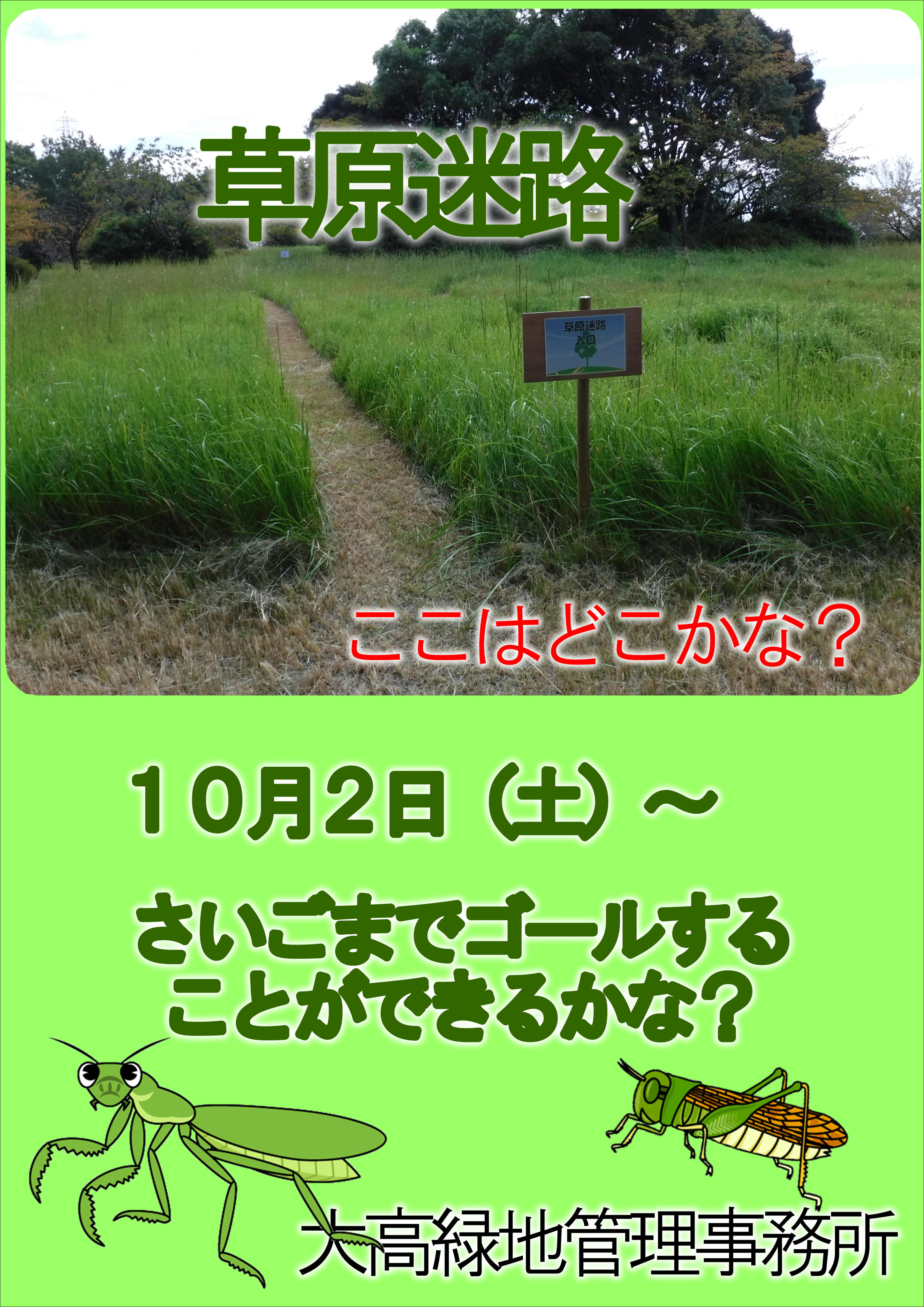 草原迷路 草原迷路